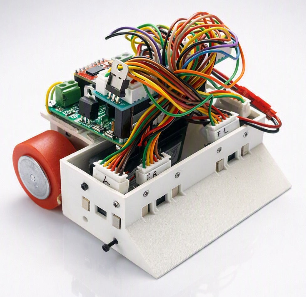 Mini Sumo Robot (500g)